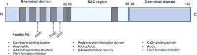 Targeting α-Synuclein in Parkinson's Disease by Induced Pluripotent Stem Cell Models